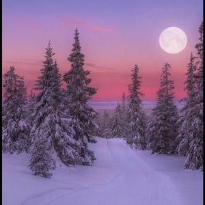 Meet your Posher, Natania